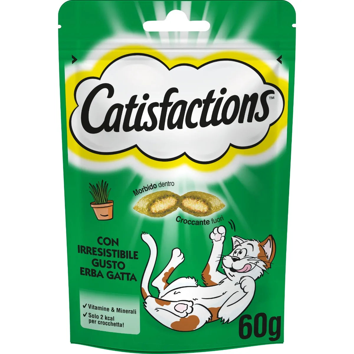 Catisfactions con Erba Gatta 60gr Catisfactions con Erba Gatta 60gr